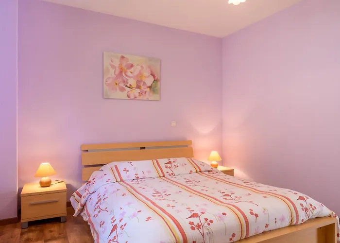 公寓 Sanglier 摩泽尔河畔的鲁普特