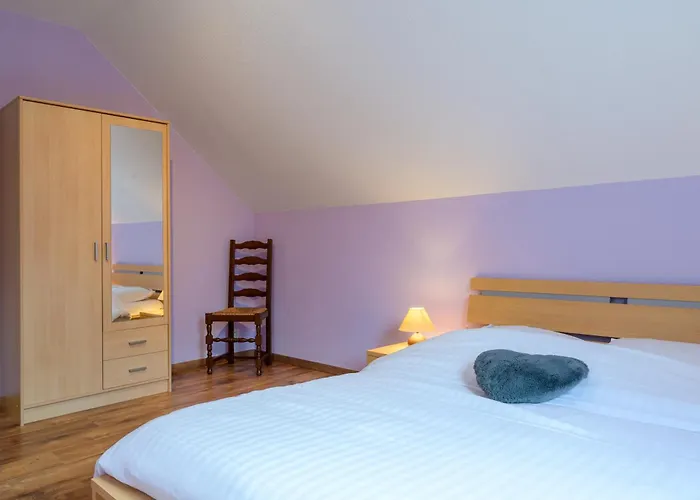 Sanglier 摩泽尔河畔的鲁普特